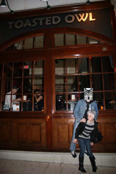 toasted owl northampton ma wolfman