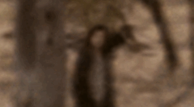 lake mungo movie film alice ghost woodas