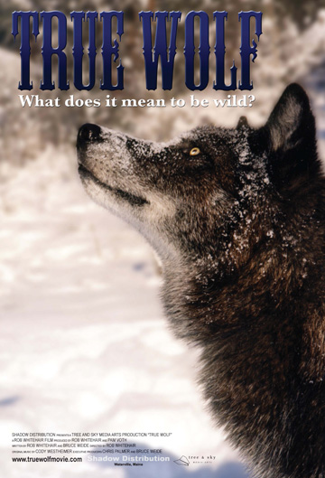 true wolf movie poster koani
