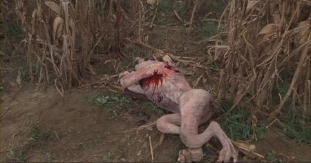 dead birds movie creature