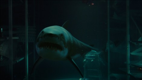bait movie great white shark underwater