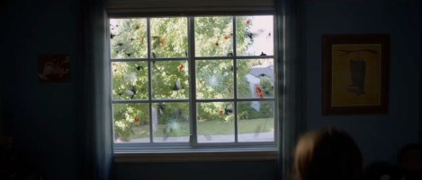 dark skies bird window aliens