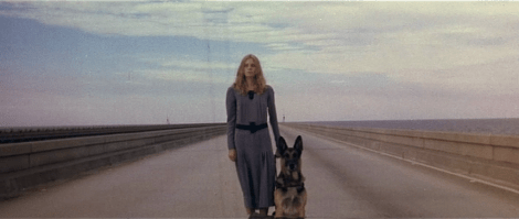 lucio fulci beyond bridge dog