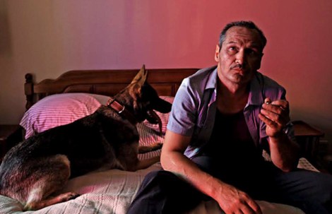 nick damici late phases shadow seeing eye dog