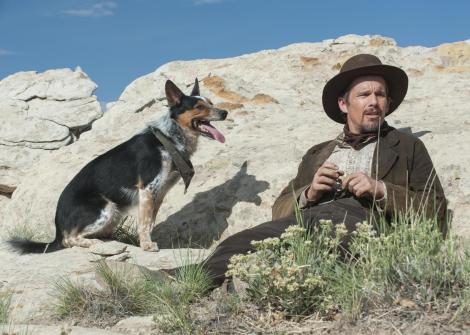 in-a-valley-of-violence-movie-2016-jumpy-dog-ethan-hawke