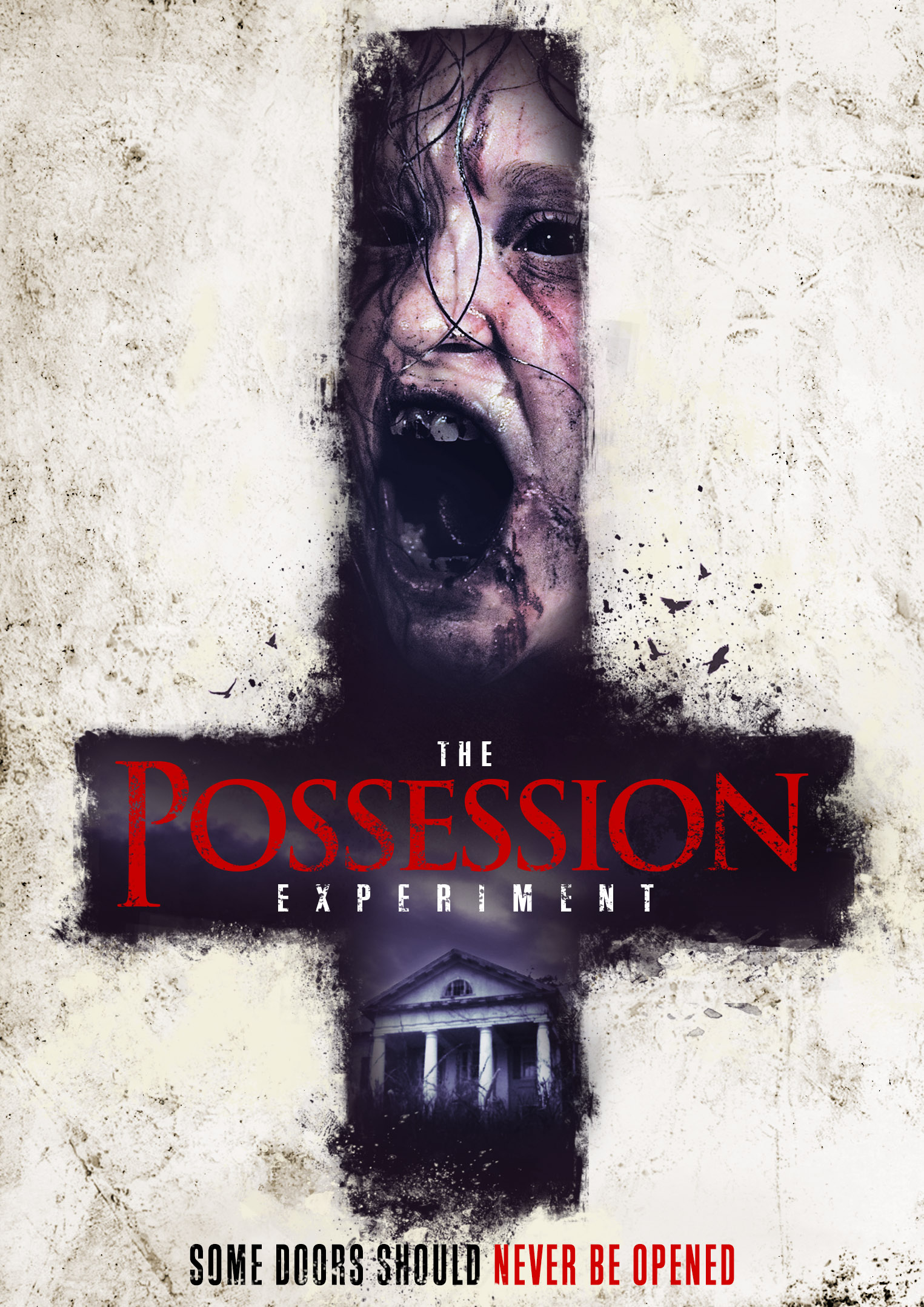 The Possession Experiment (2016) [REVIEW] | The Wolfman Cometh
